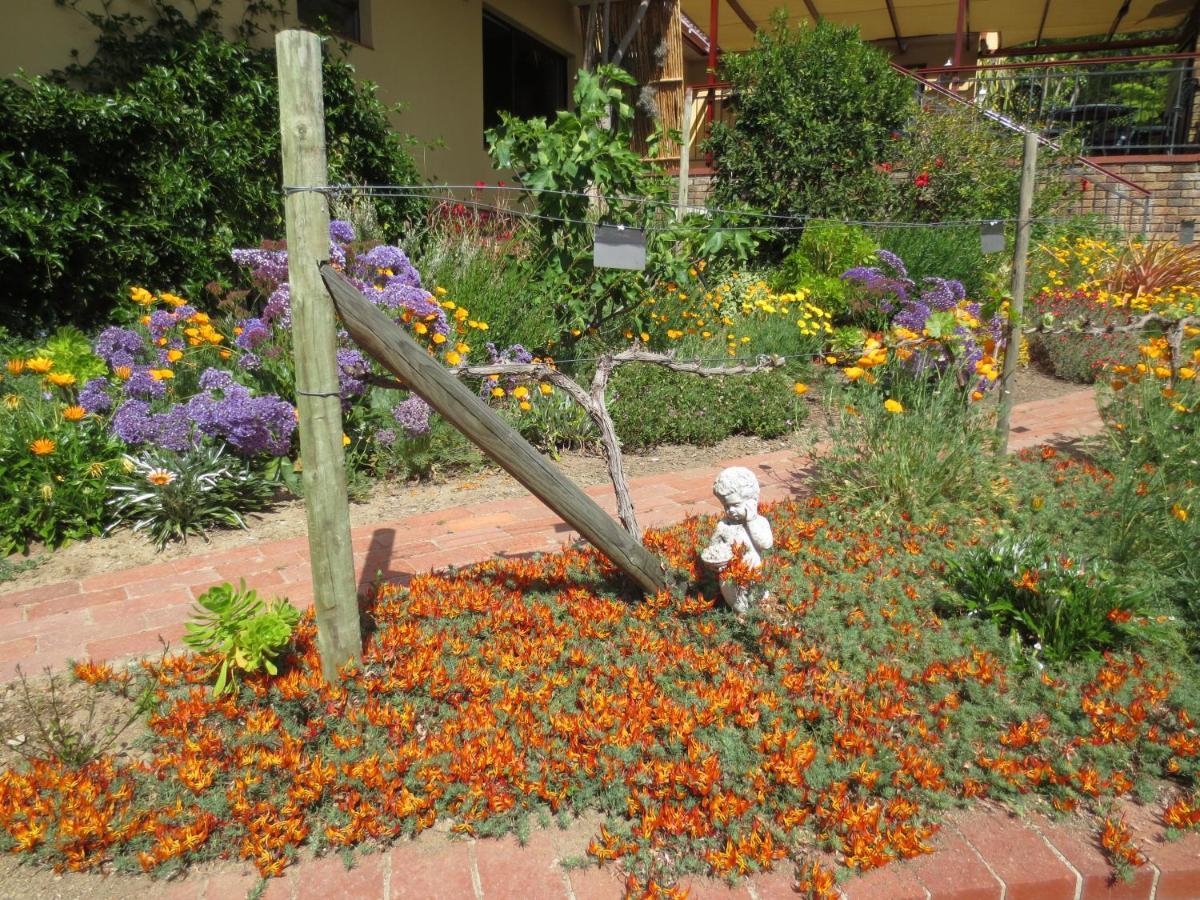 Haus Perlenblick Bed & Breakfast Paarl Eksteriør bilde